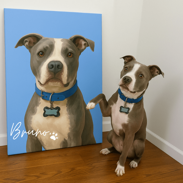 Retrato con Fondo Sólido para Mascotas