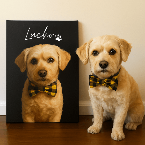 Retrato con Fondo Sólido para Mascotas