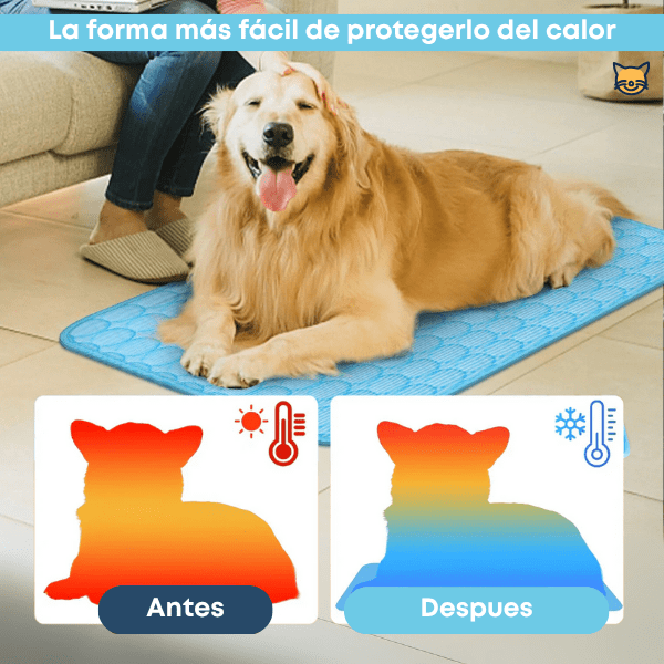 CoolPet™ – Manta refrescante para mascotas