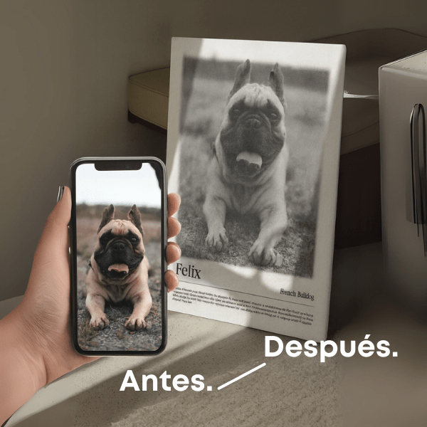 Retrato Minimalista para Mascotas