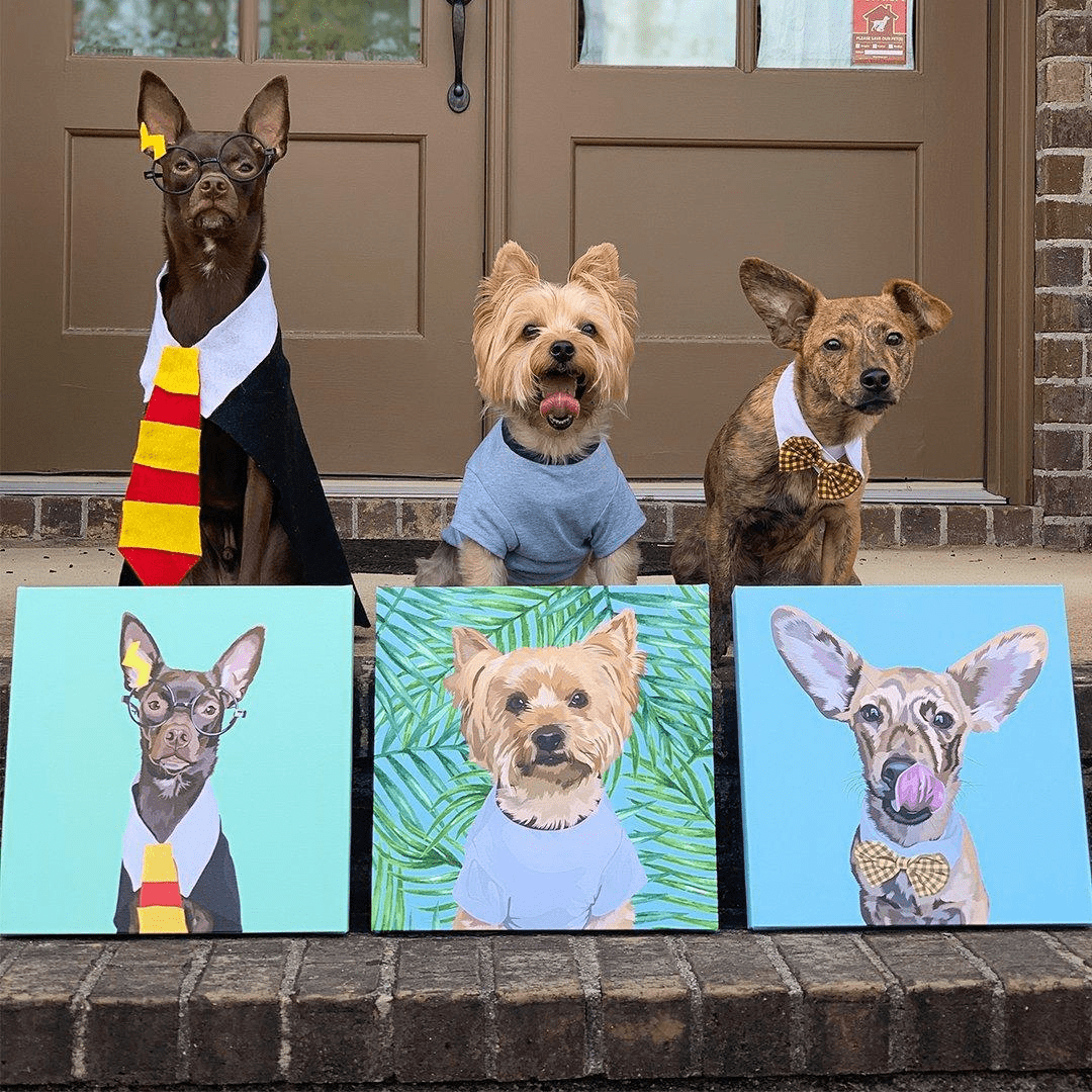 Retrato con Fondo Sólido para Mascotas