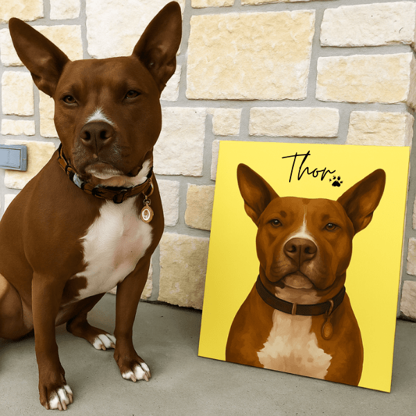 Retrato con Fondo Sólido para Mascotas