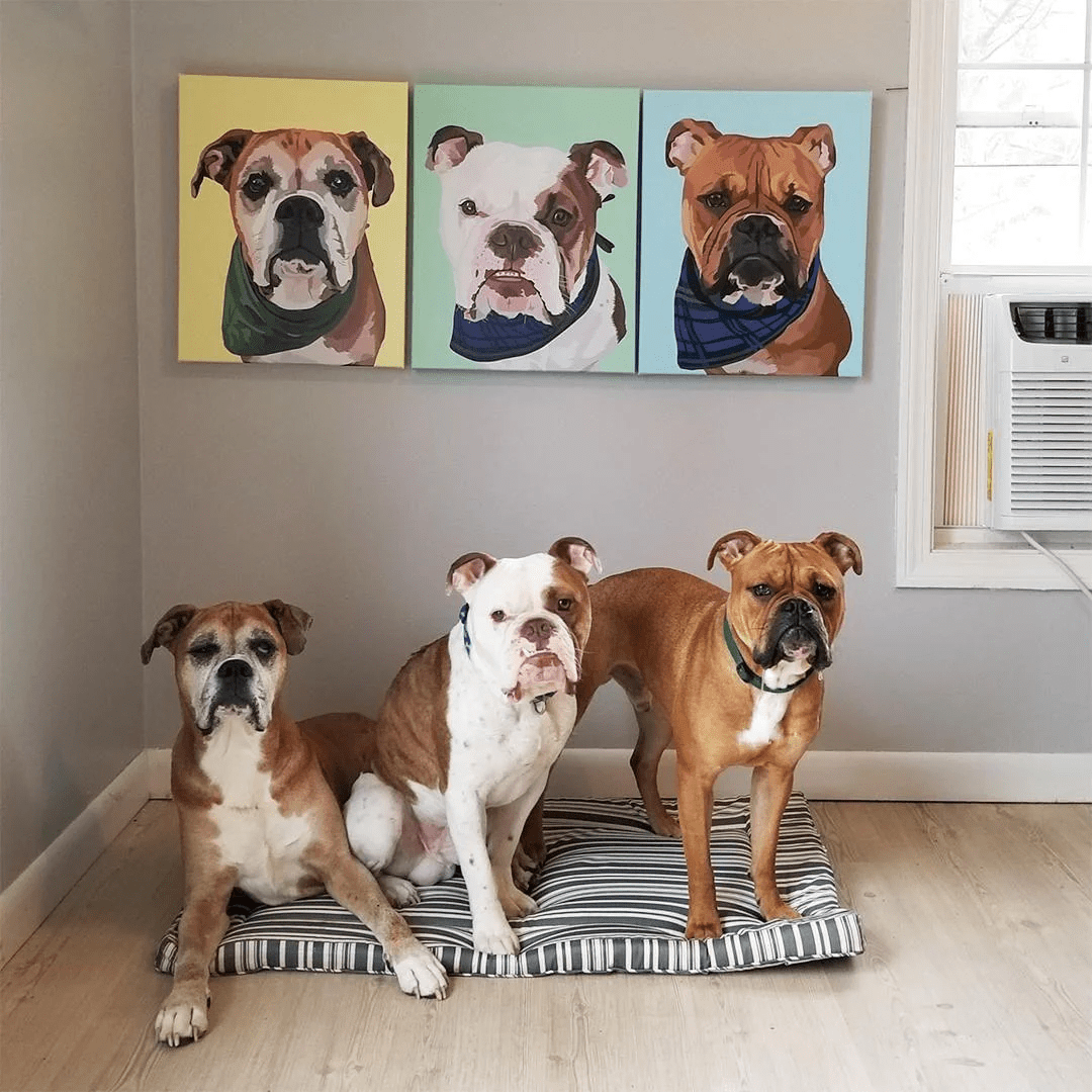Retrato con Fondo Sólido para Mascotas