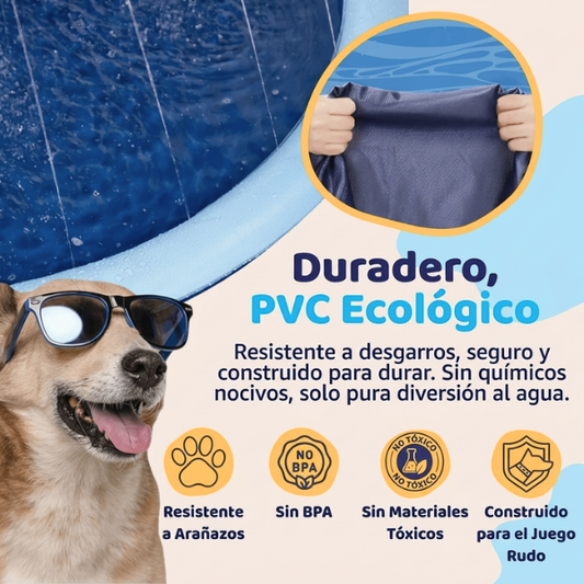 La Piscina de Chorros que Hará Feliz a tu Perro Este Verano