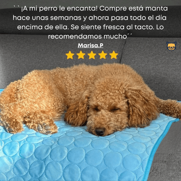 CoolPet™ – Manta refrescante para mascotas