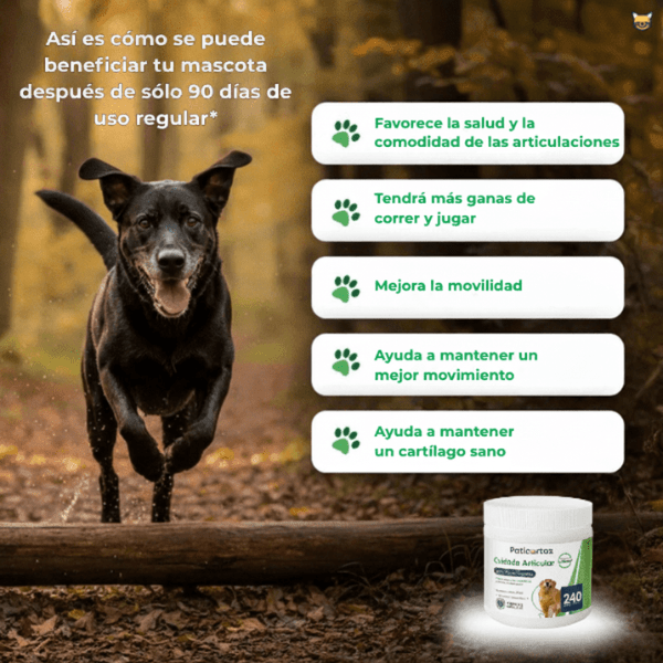 PatiPlus™- Suplemento para el cuidado articular