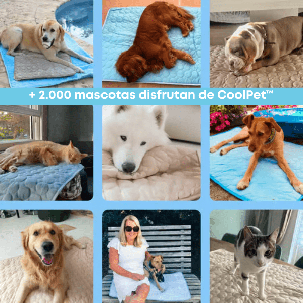 CoolPet™ – Manta refrescante para mascotas