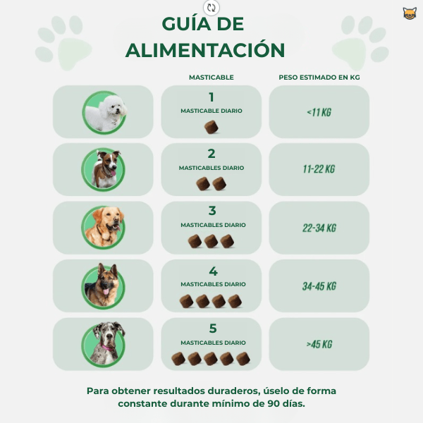 PatiPlus™- Suplemento para el cuidado articular