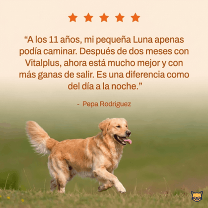 VitalPlus-Suplemento para la longevidad canina