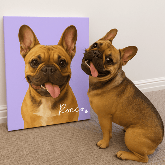 Retrato con Fondo Sólido para Mascotas