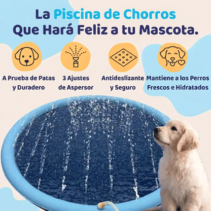 La Piscina de Chorros que Hará Feliz a tu Perro Este Verano