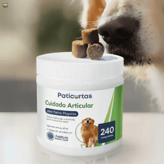 PatiPlus™- Suplemento para el cuidado articular