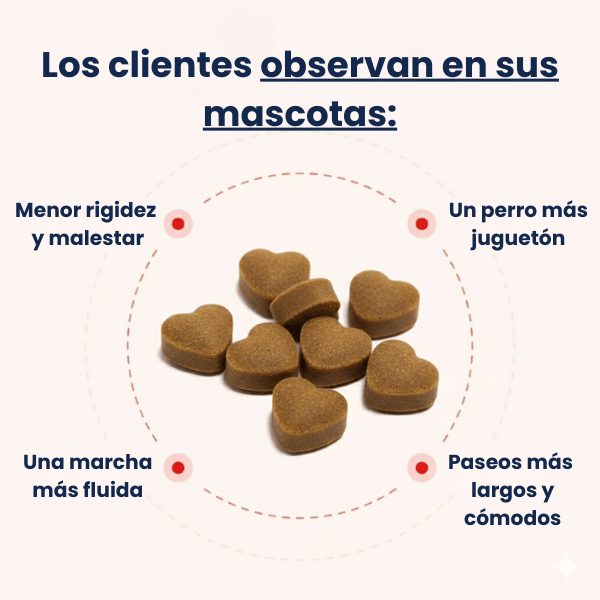 PatiPlus- Suplemento para el cuidado de las articulaciones
