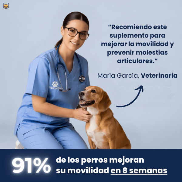 PatiPlus- Suplemento para el cuidado de las articulaciones