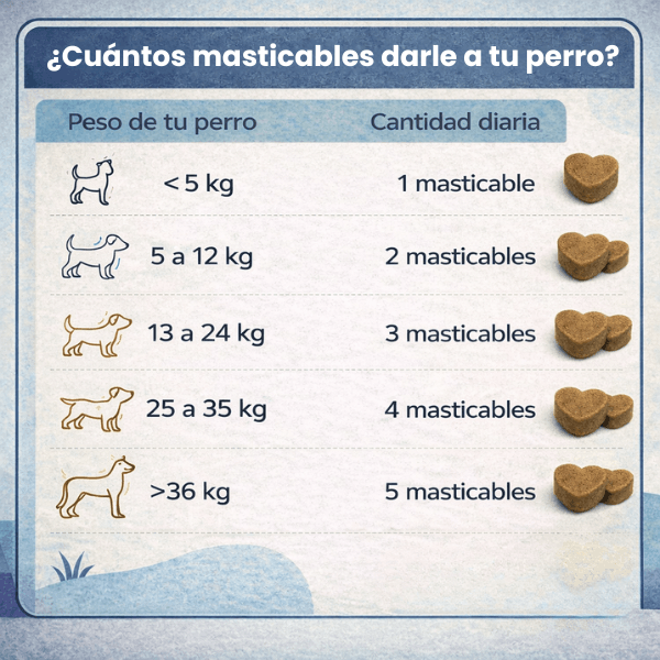 PatiPlus- Suplemento para el cuidado de las articulaciones