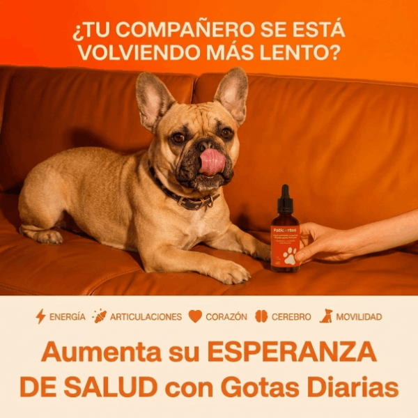 VitalPlus-Suplemento para la longevidad canina