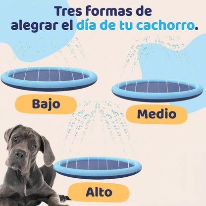 La Piscina de Chorros que Hará Feliz a tu Perro Este Verano