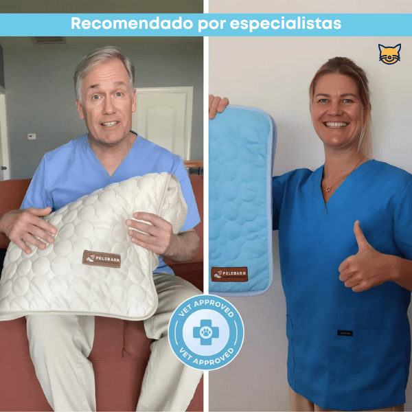 CoolPet™ – Manta refrescante para mascotas