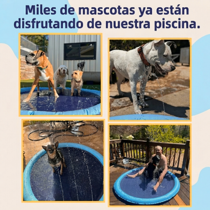 La Piscina de Chorros que Hará Feliz a tu Perro Este Verano