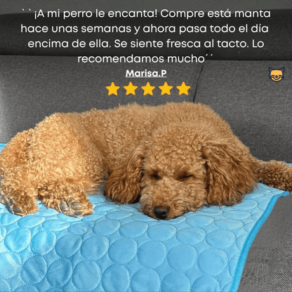 CoolPet™ – Manta refrescante para mascotas