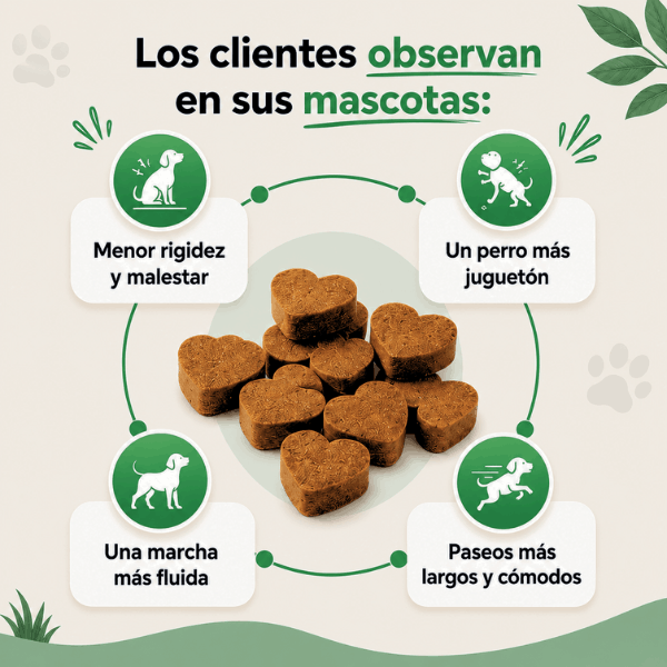PatiPlus- Suplemento para el cuidado de las articulaciones