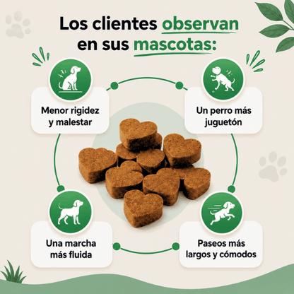 PatiPlus- Suplemento para el cuidado de las articulaciones