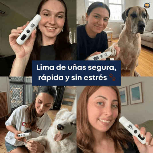 Lima de uñas para mascotas
