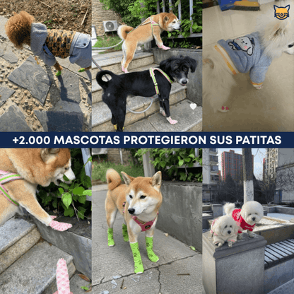 PatiWrap™ – Protector de Patitas