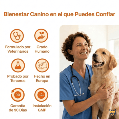 VitalPlus-Suplemento para la longevidad canina
