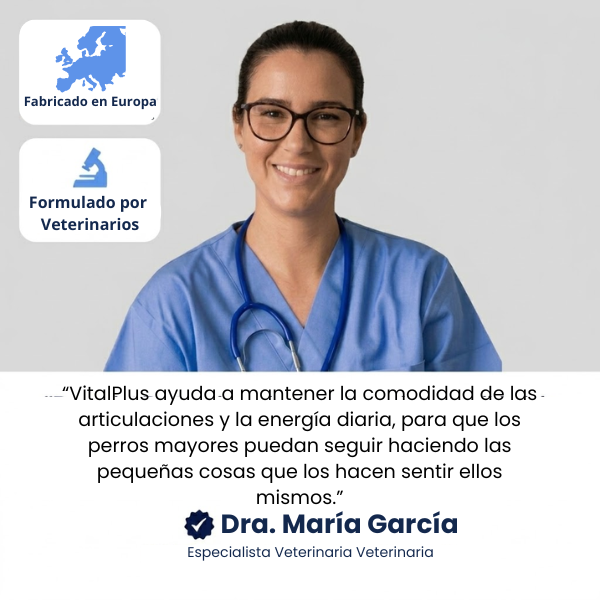 VitalPlus-Suplemento para la longevidad canina