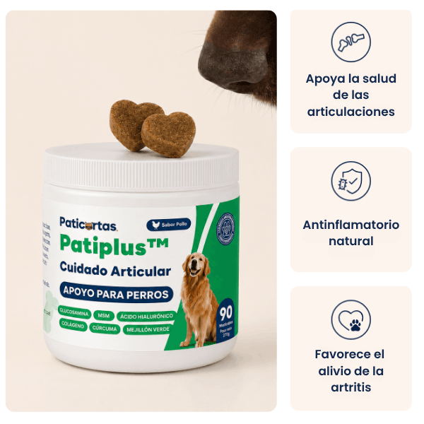 PatiPlus- Suplemento para el cuidado de las articulaciones