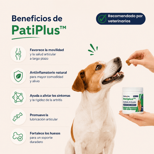 PatiPlus- Suplemento para el cuidado de las articulaciones