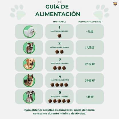 PatiPlus™- Suplemento para el cuidado articular