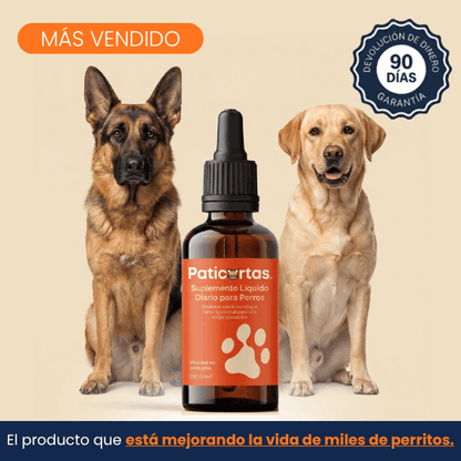 Protocolo con respaldo científico para aumentar la esperanza de vida saludable de los perros